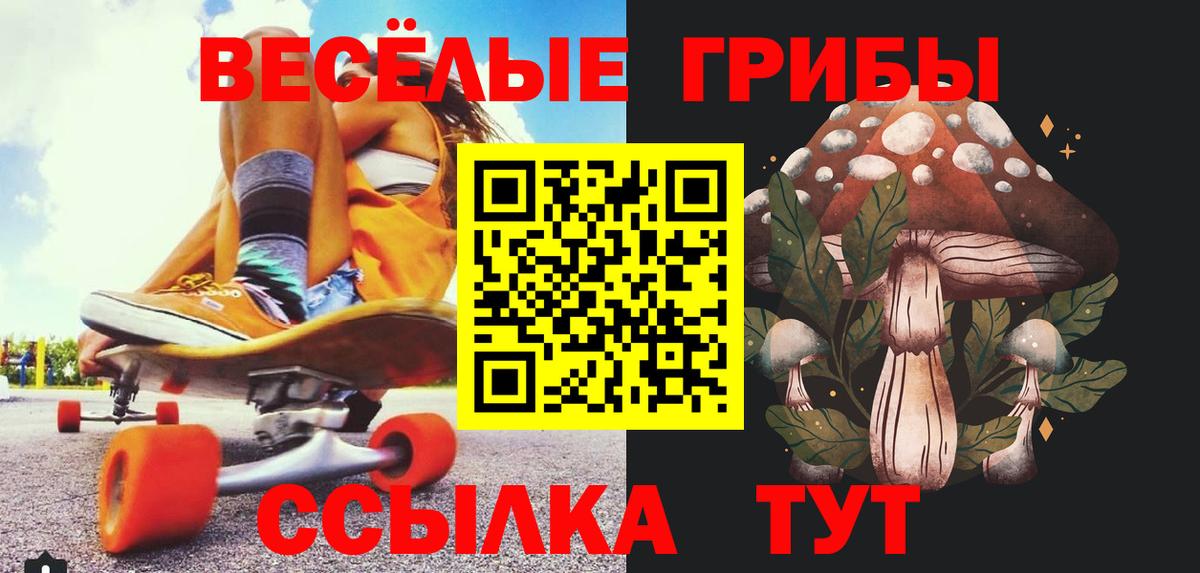 Киров  Галлюциногенные грибы Psilocybine cubensis  Вход с VPN 